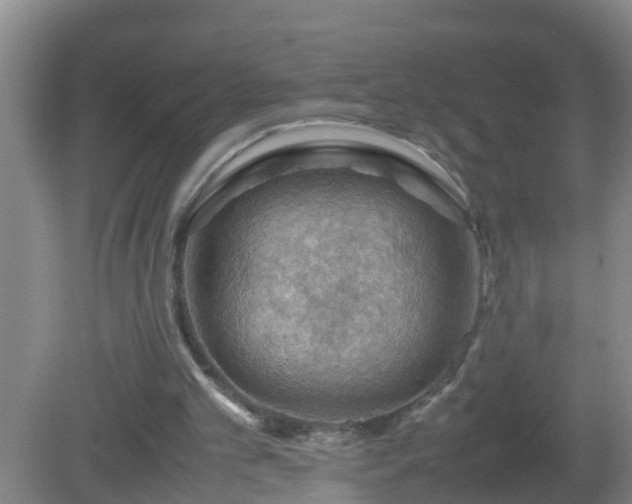 X0000081310101200701181912