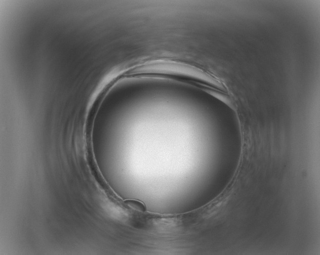 X0000081310102200701181912