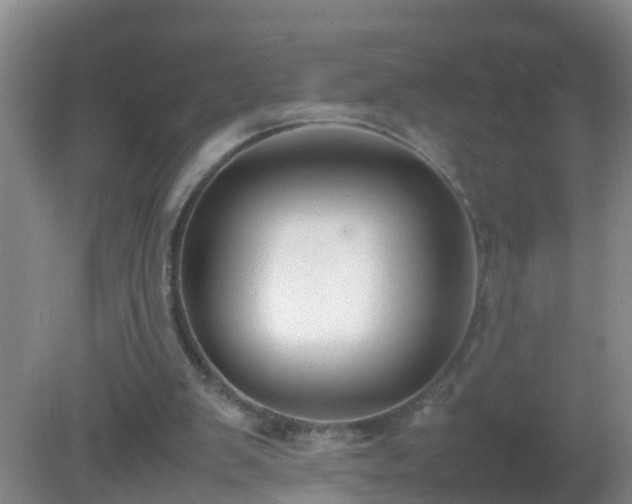 X0000081310103200701181912