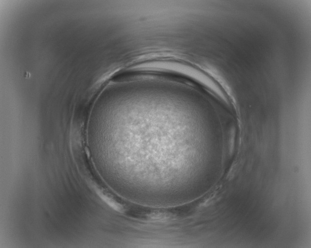 X0000081310105200701181912