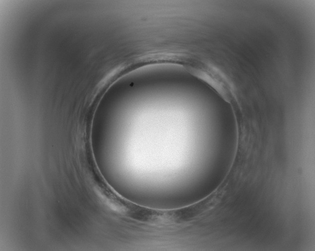 X0000081310107200701181912