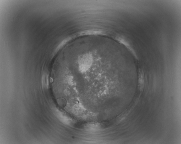 X0000081310110200701181912