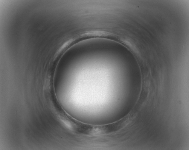 X0000081310111200701181912