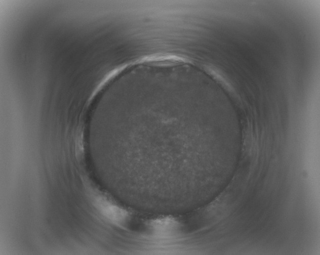 X0000081310112200701181912