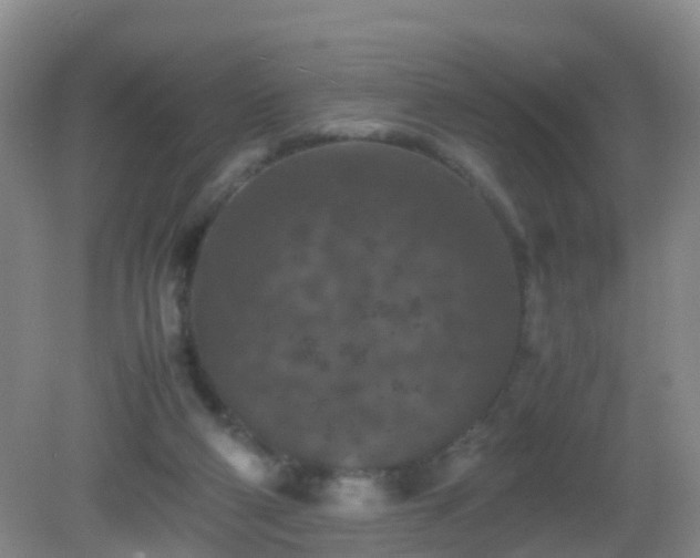 X0000081310114200701181912