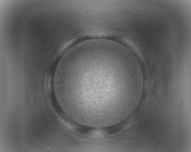 X0000081310115200701181912