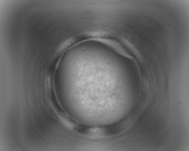 X0000081310117200701181912