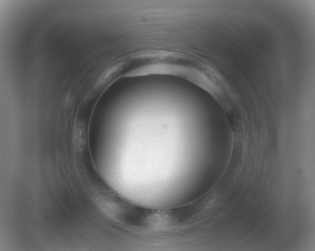 X0000081310119200701181912