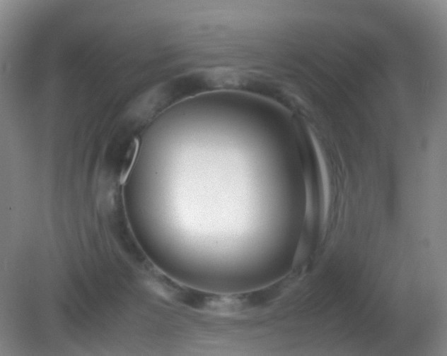 X0000081310125200701181912