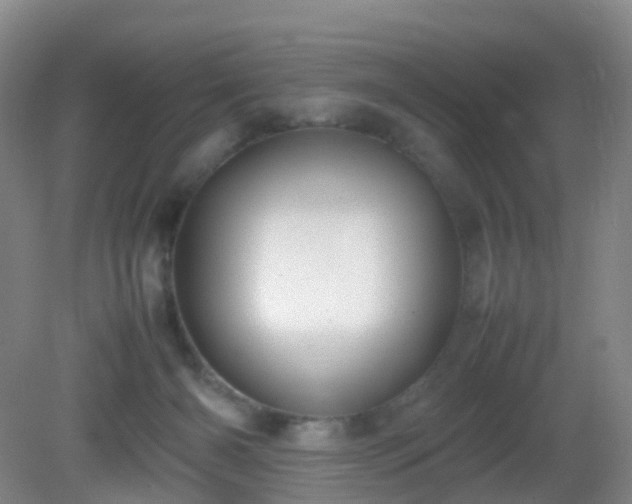 X0000081310126200701181912