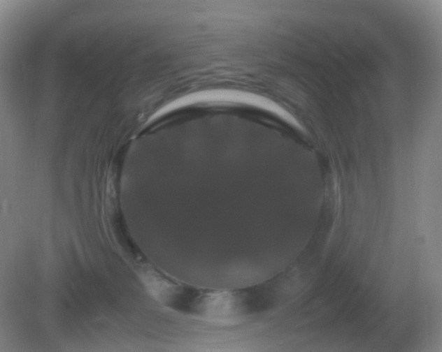 X0000081310127200701181912