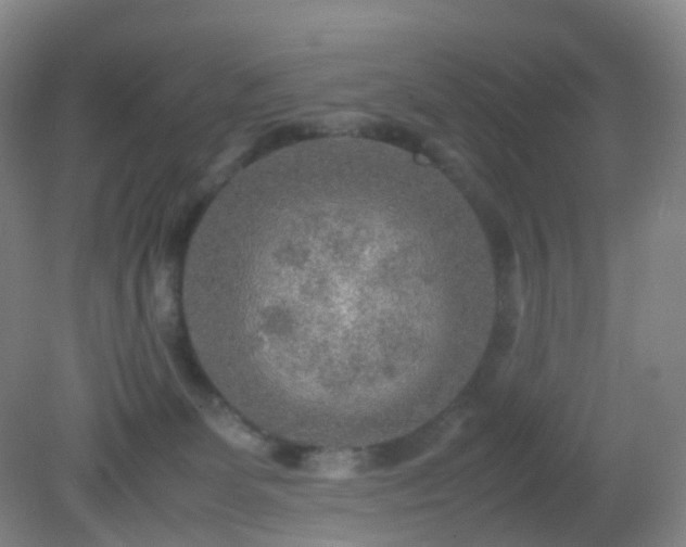 X0000081310131200701181912