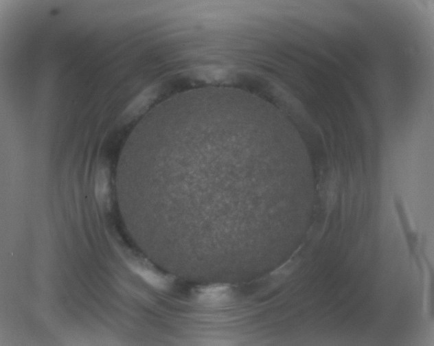 X0000081310132200701181912