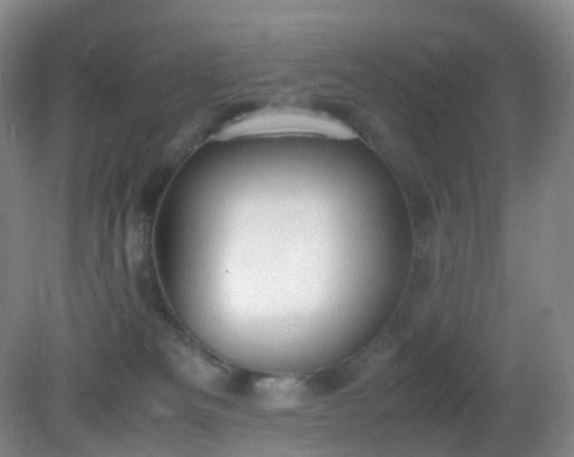 X0000081310133200701181912