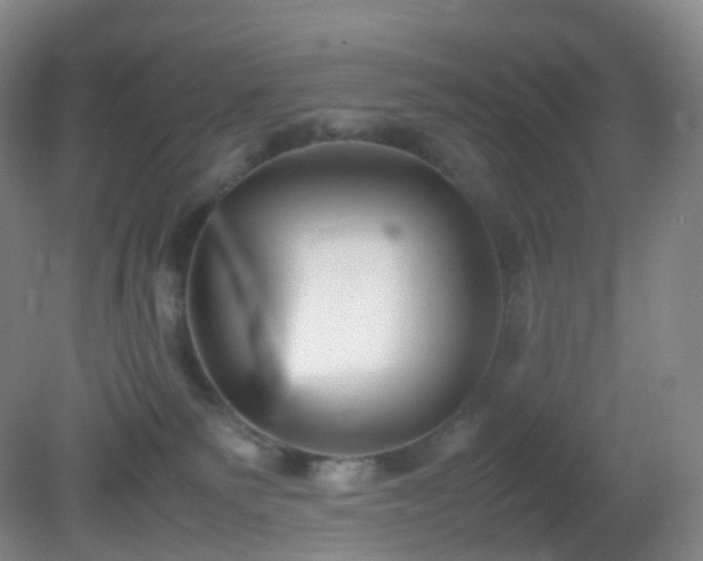 X0000081310135200701181912