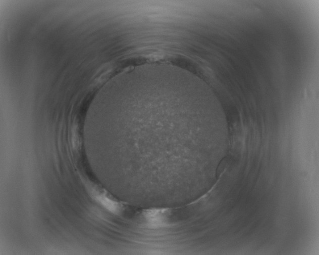 X0000081310136200701181912