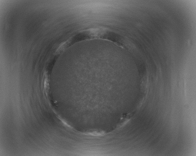 X0000081310137200701181912