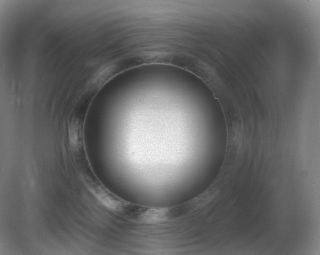 X0000081310138200701181912