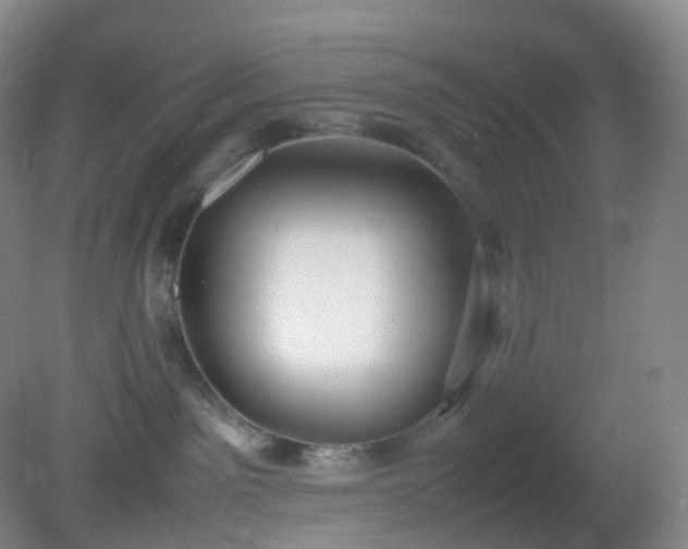 X0000081310141200701181912