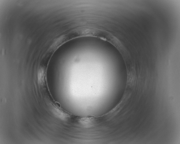 X0000081310142200701181912