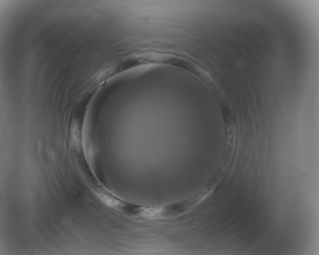 X0000081310143200701181912