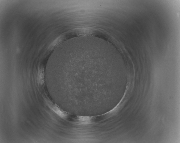 X0000081310144200701181912