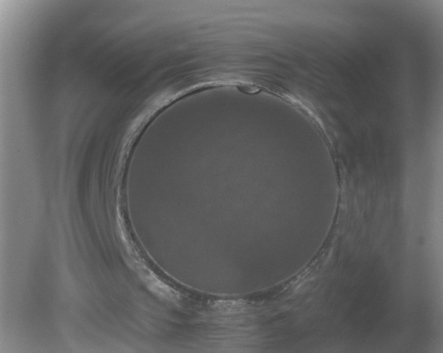 X0000081310145200701181911