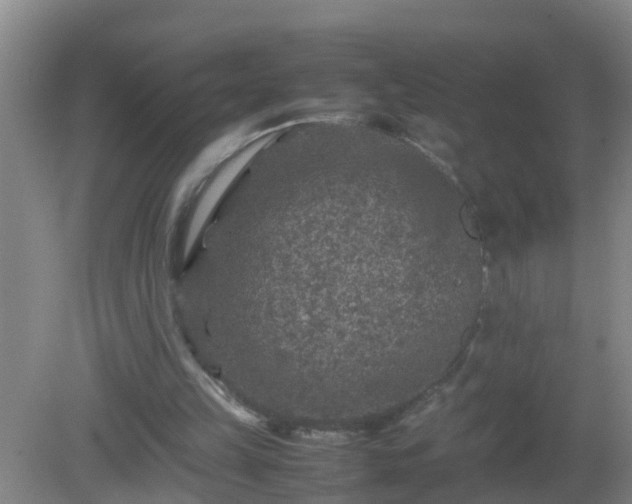 X0000081310149200701181911