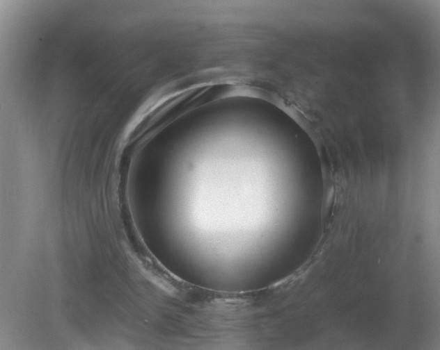 X0000081310150200701181911