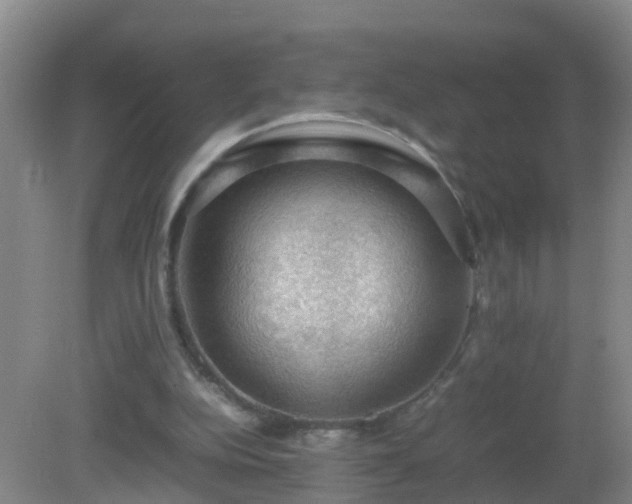 X0000081310152200701181911