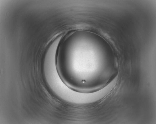 X0000081310154200701181911