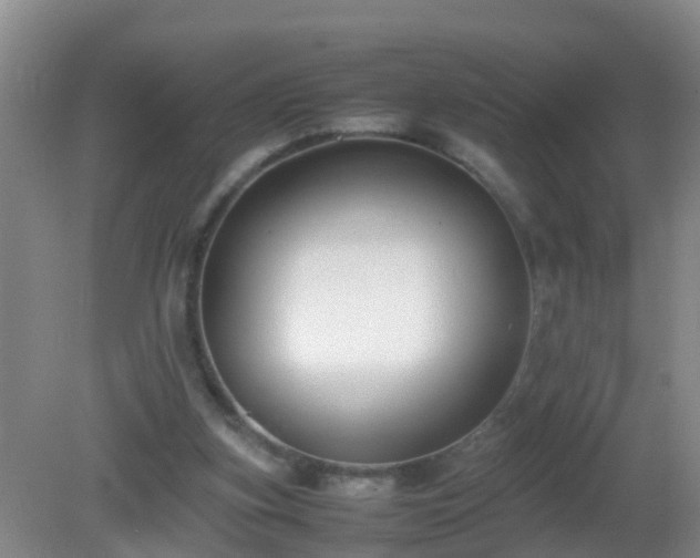 X0000081310155200701181911