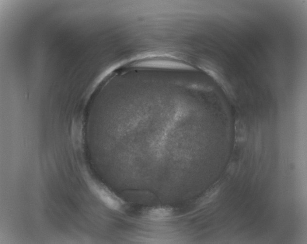 X0000081310156200701181911