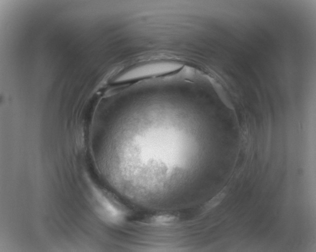 X0000081310158200701181911