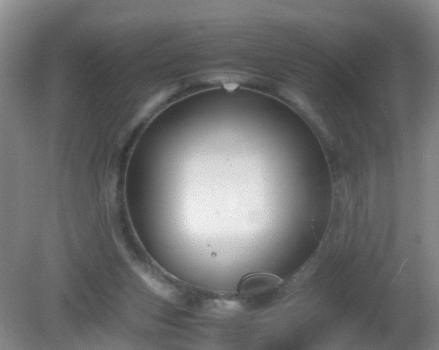 X0000081310159200701181911