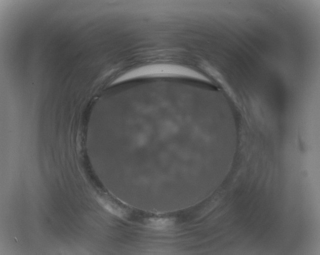 X0000081310161200701181911