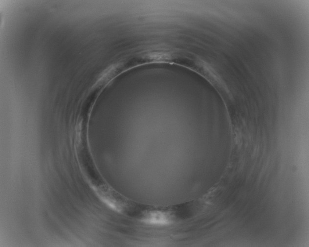 X0000081310163200701181911