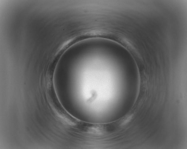 X0000081310164200701181911