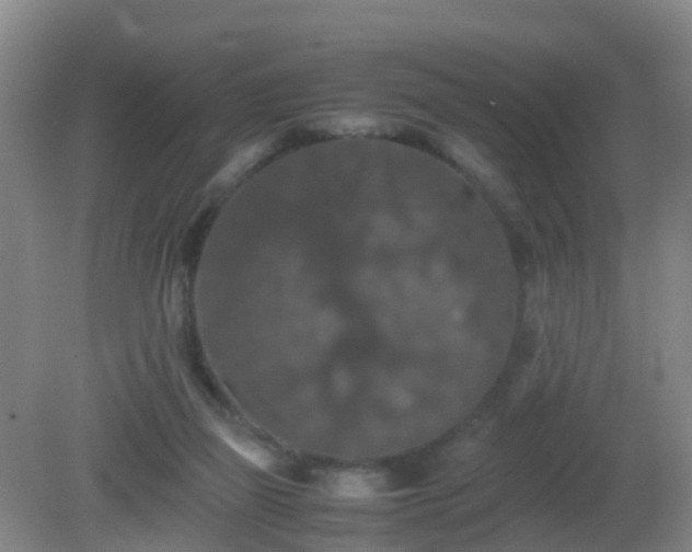 X0000081310165200701181911