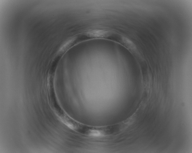 X0000081310167200701181911