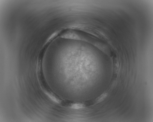 X0000081310168200701181911