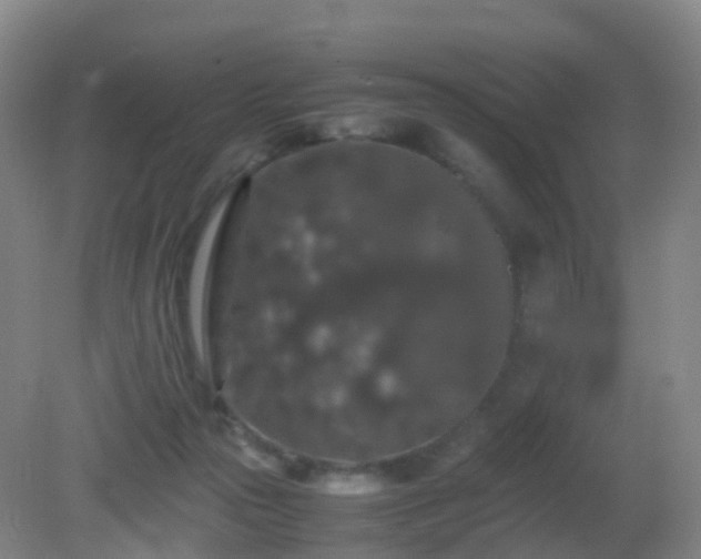 X0000081310169200701181911