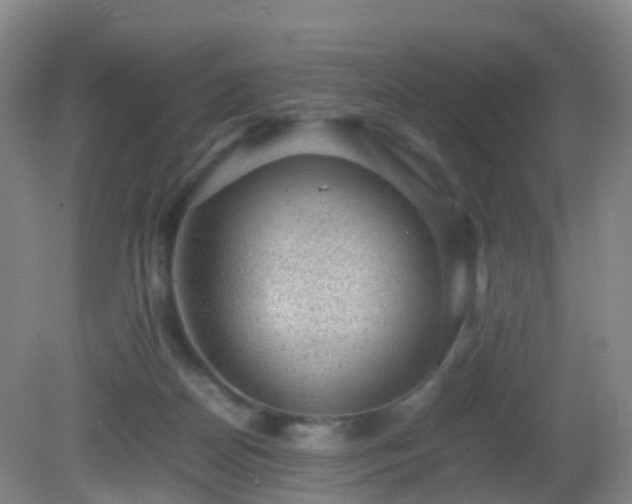 X0000081310170200701181911