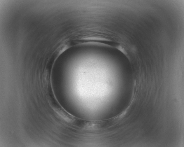 X0000081310174200701181911