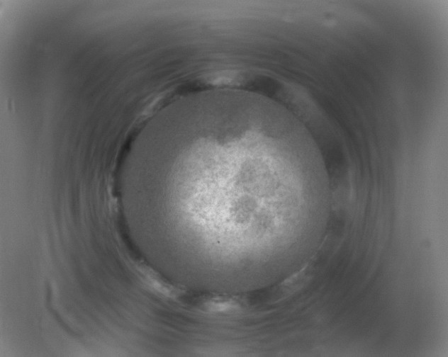 X0000081310175200701181911