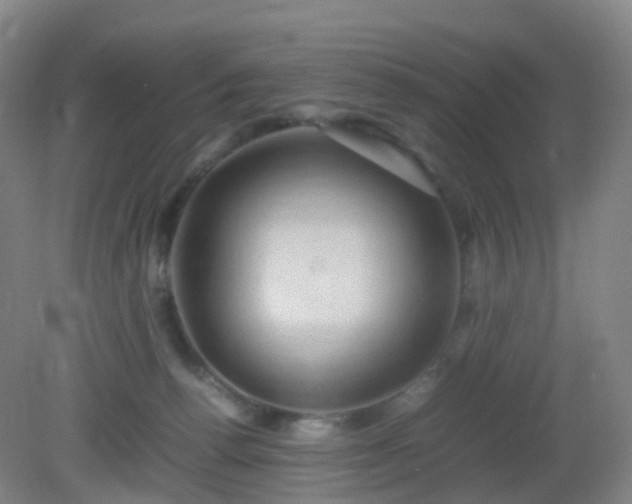 X0000081310176200701181911