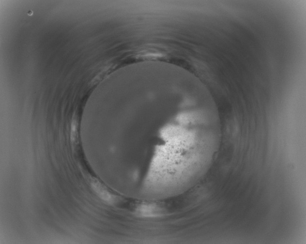 X0000081310177200701181911