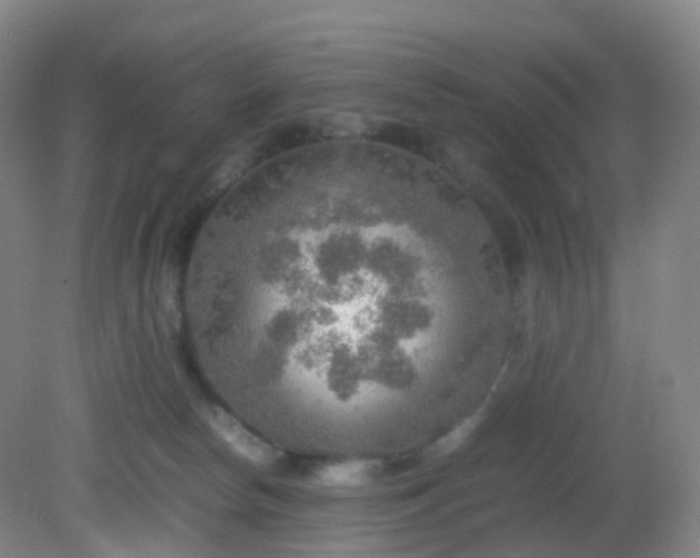 X0000081310178200701181911