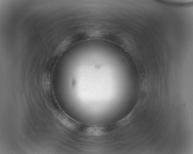 X0000081310179200701181911