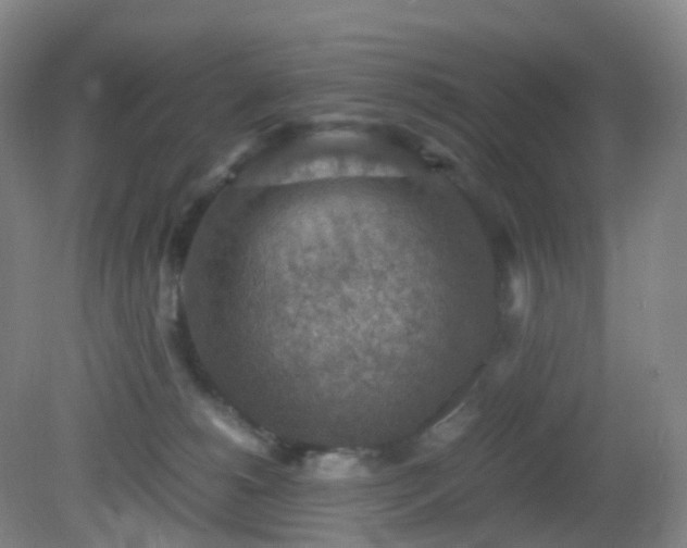 X0000081310180200701181911